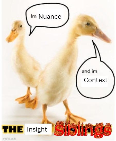 A meme of two ducklings stating “I'm Nuance” and “and I'm Context”. It is captioned “The insight siblings”